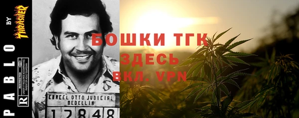 гидра Медногорск