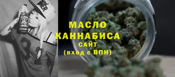 молекула духа Михайлов