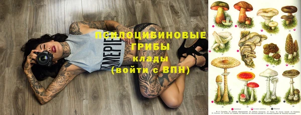 молекула духа Михайлов