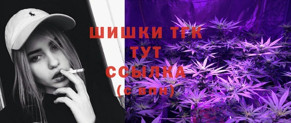 тгк Мегион
