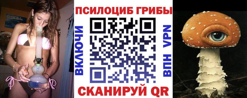 где купить наркоту  Туапсе  Псилоцибиновые грибы мицелий 
